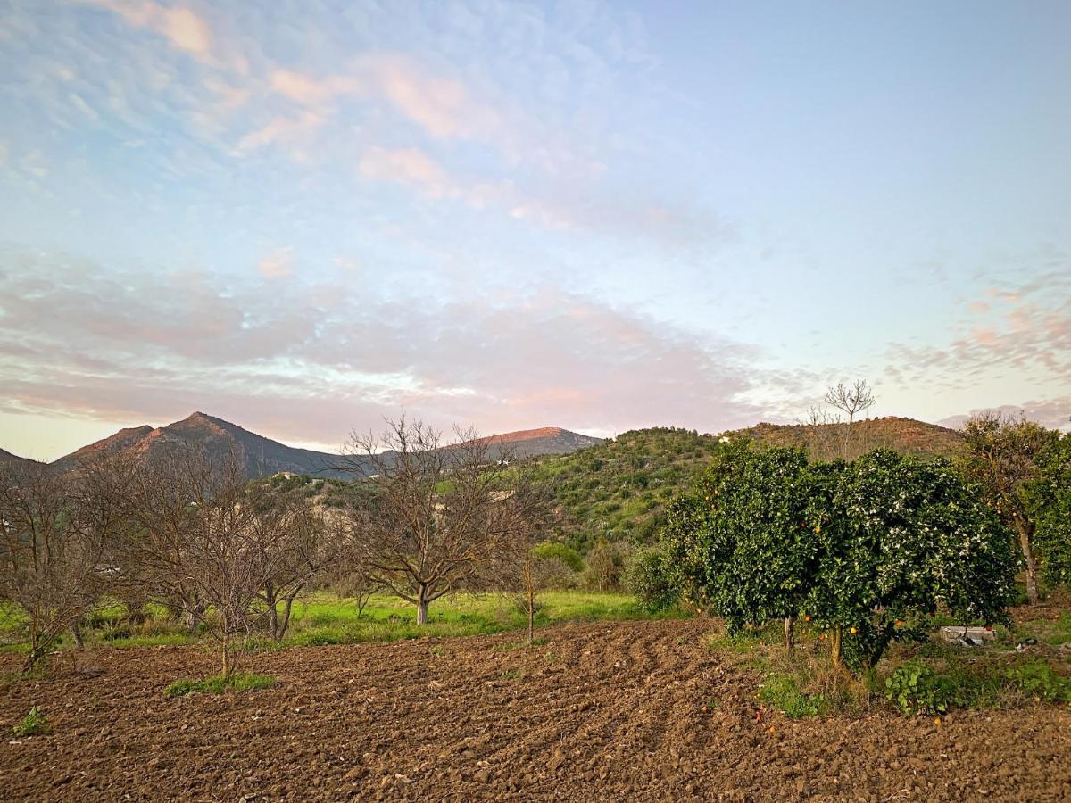 Vivelorural Casa Y Piscina En Zahara De La Sierra Villa Luaran gambar